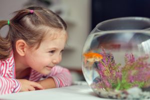7 étapes pour déménager votre aquarium en toute sécurité